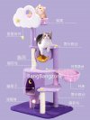 璀璨星雲 貓爬架 貓用品