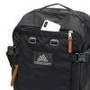 Gregory 罕有Day Pack Bag